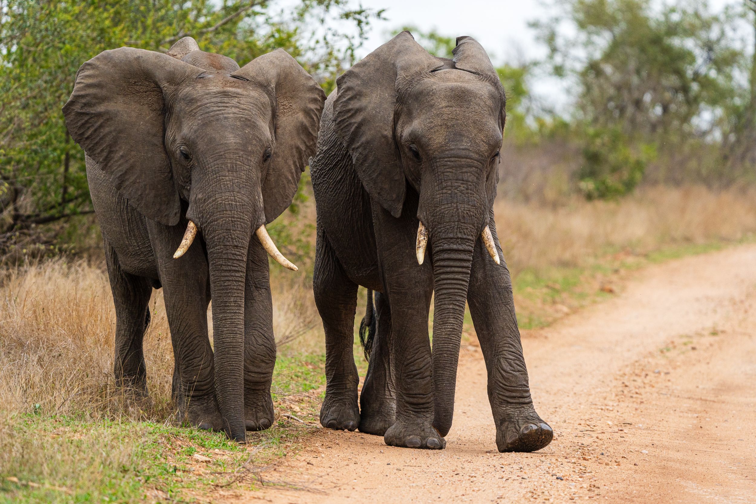 20231002 155353 Fotobuch Südafrika 04470